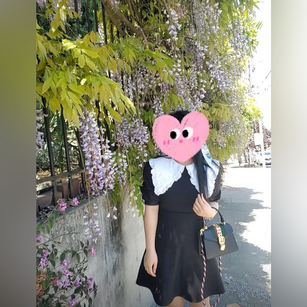 ZARA collar black dress